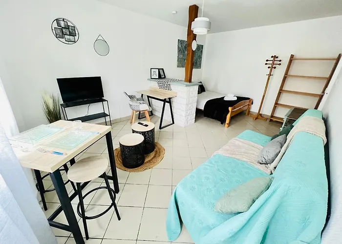 Vue Sur Jardin Parking Ascenseur Un-sejour-a-part * Metz